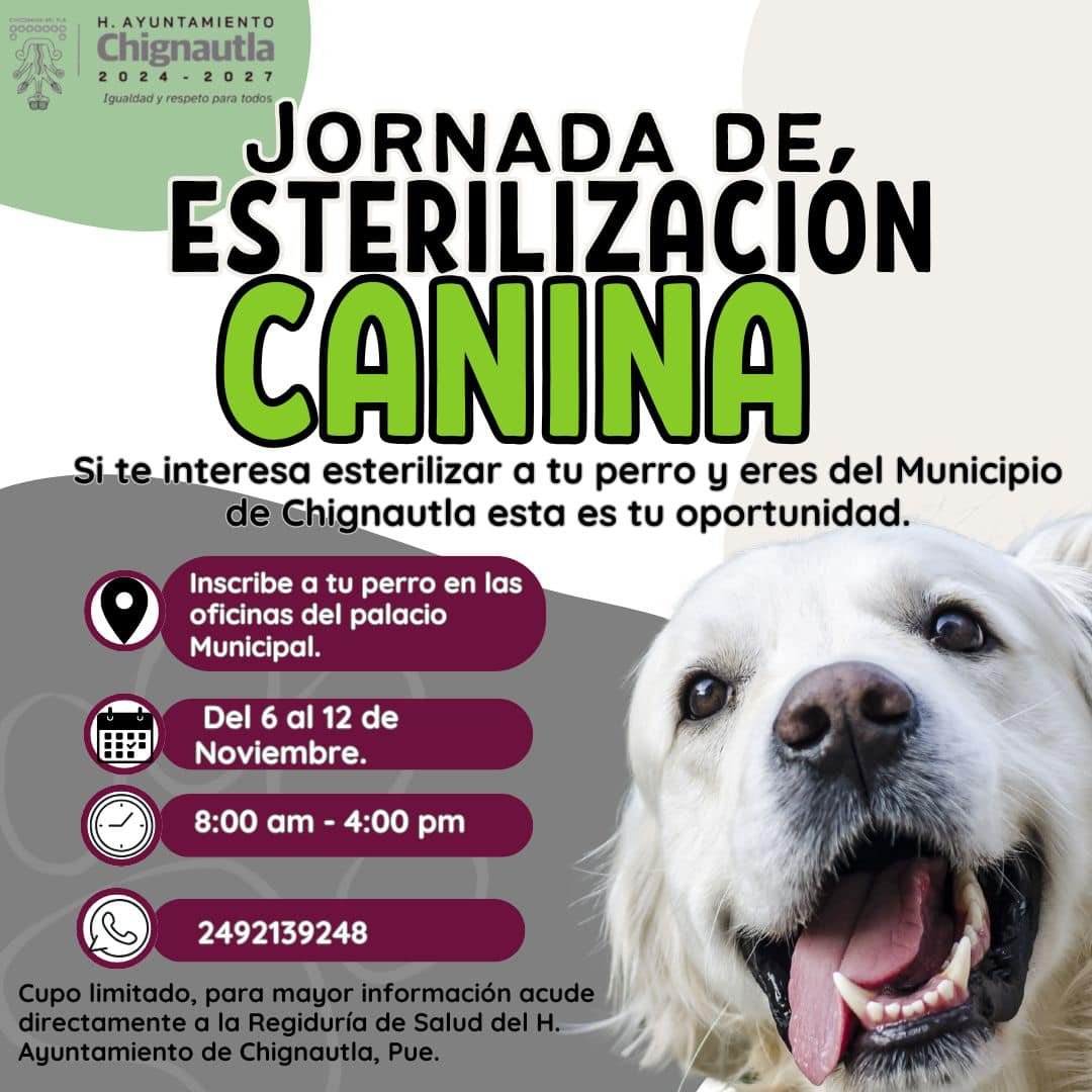 Imagen destacada de: ‼️Jornada de Esterilización Canina‼️