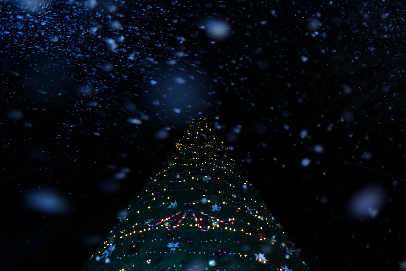 Imagen destacada de: Encendido Navideño en el centro del municipio