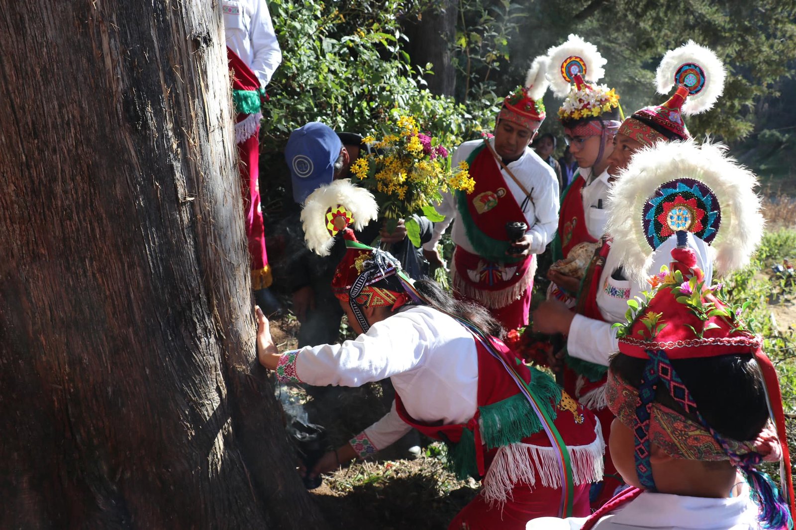 Imagen destacada de: ritual de “Permiso, Perdón y Agradecimiento”, realizado por el primer grupo de Voladores de Parajes