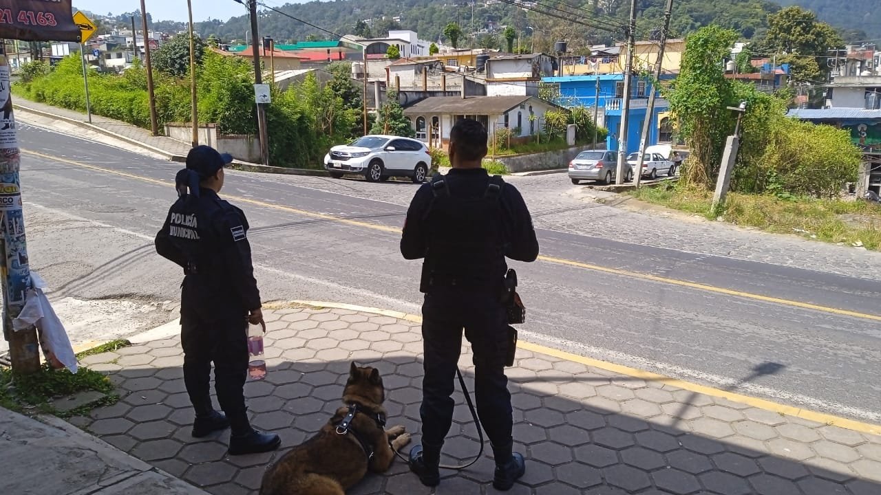 Imagen destacada de: Elementos de seguridad Publica Municipal de Chignautla Puebla y la Unidad Canina K-9 