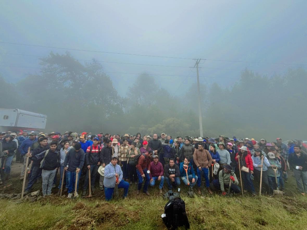 Imagen destacada de: Faena Dominical