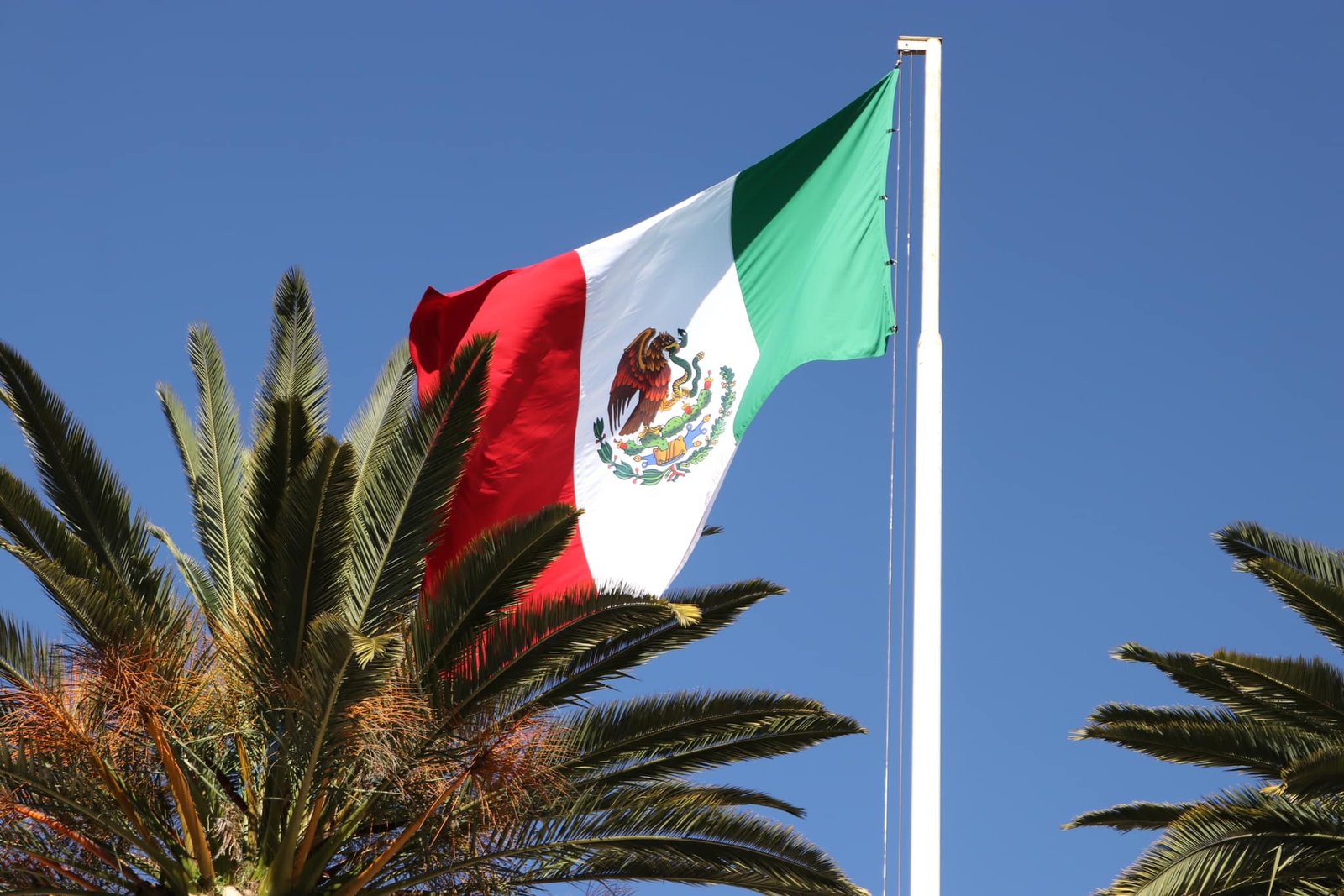 Imagen destacada de: 24 de febrero Día de la Bandera de México