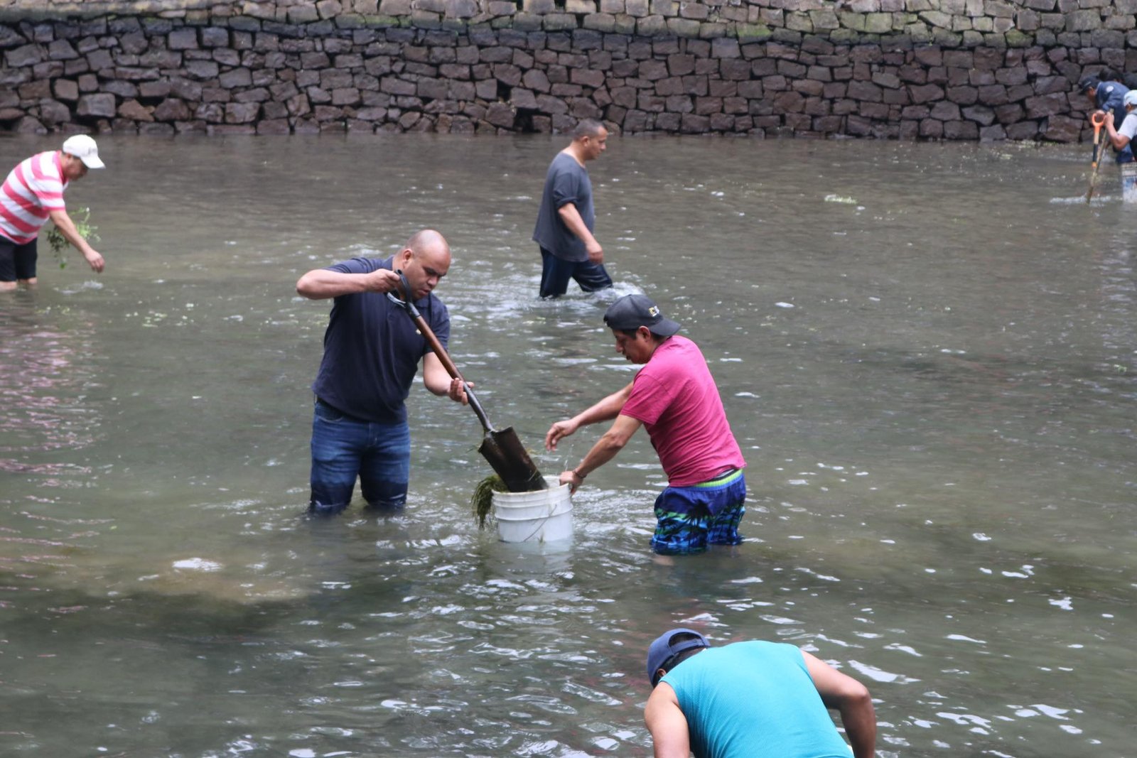 Imagen destacada de: ¡Faena Dominical!
