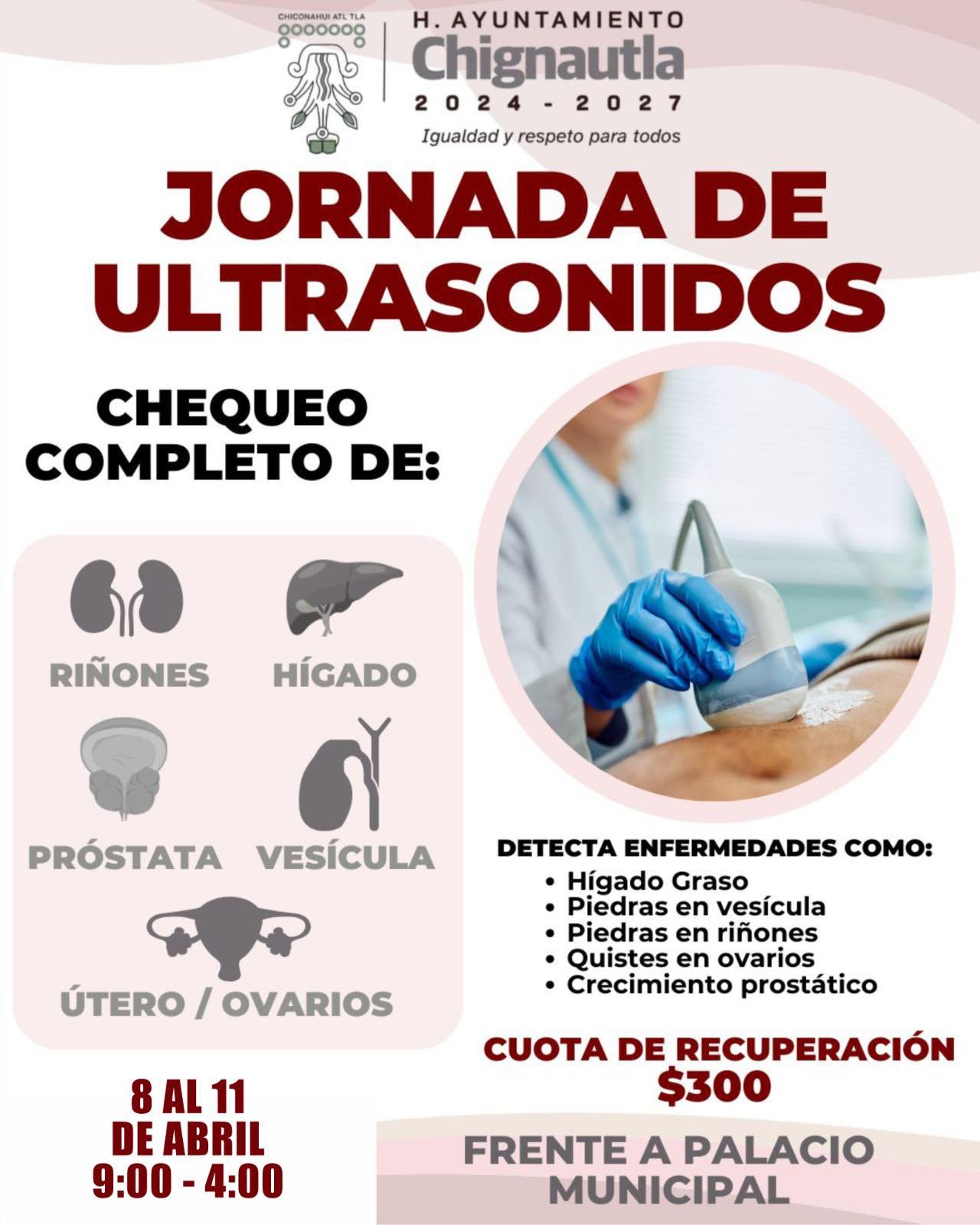 Imagen destacada de: Jornada de ultrasonidos