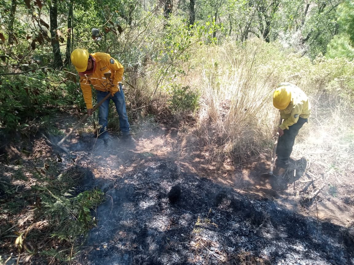 Imagen destacada de:  Incendio Forestal en la parte alta del municipio