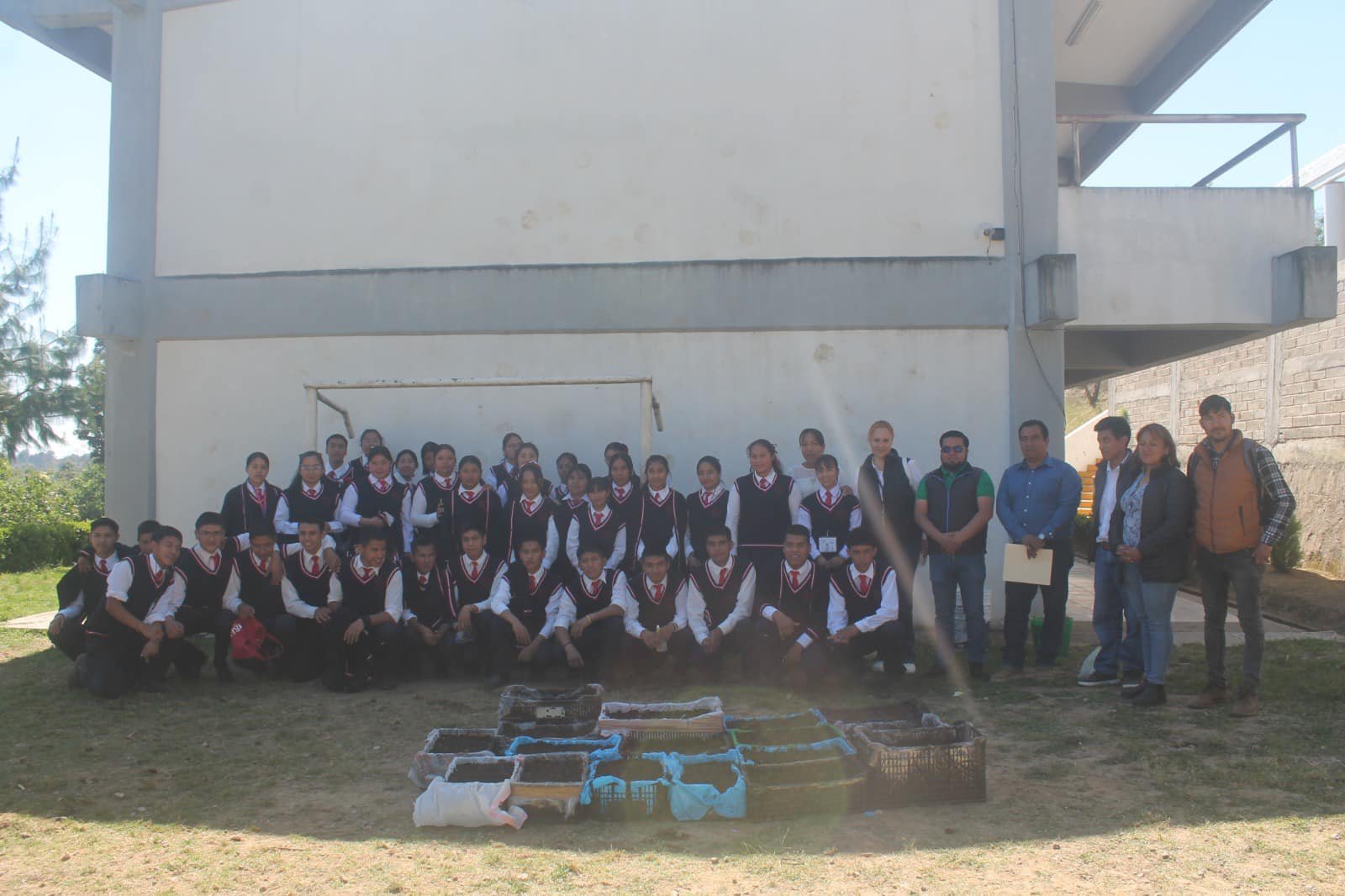 Imagen destacada de: Huertos Escolares