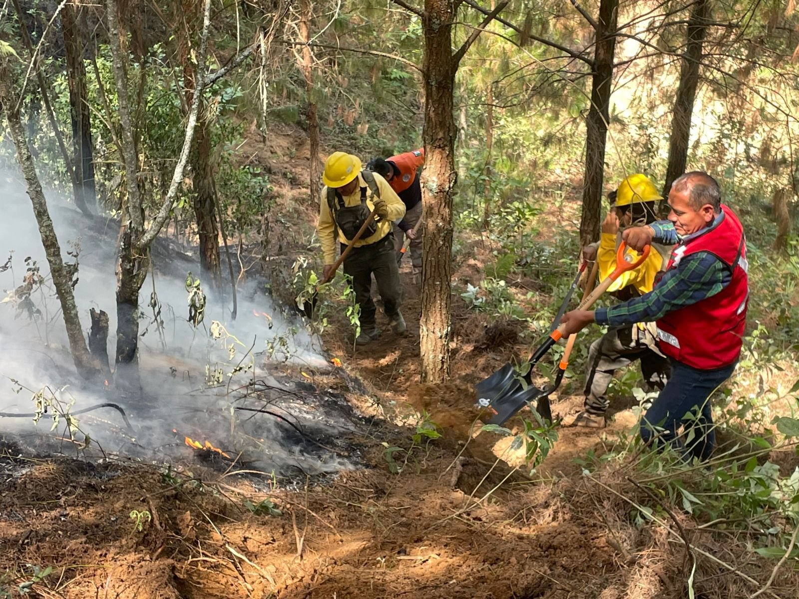 Imagen destacada de: Conato de Incendio 