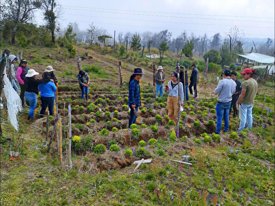 Imagen destacada de: donación de pipas de agua para el riego de cultivos